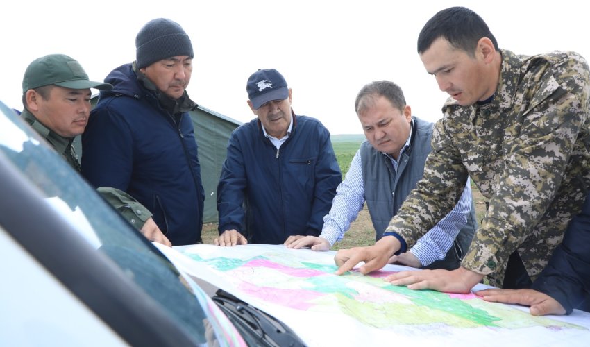 АРЫС ҚАЛАСЫНДА МАРОККО ШЕГІРТКЕСІНЕ ҚАРСЫ ФИТОСАНИТАРЛЫҚ ШАРАЛАР КҮШЕЙТІЛДІ