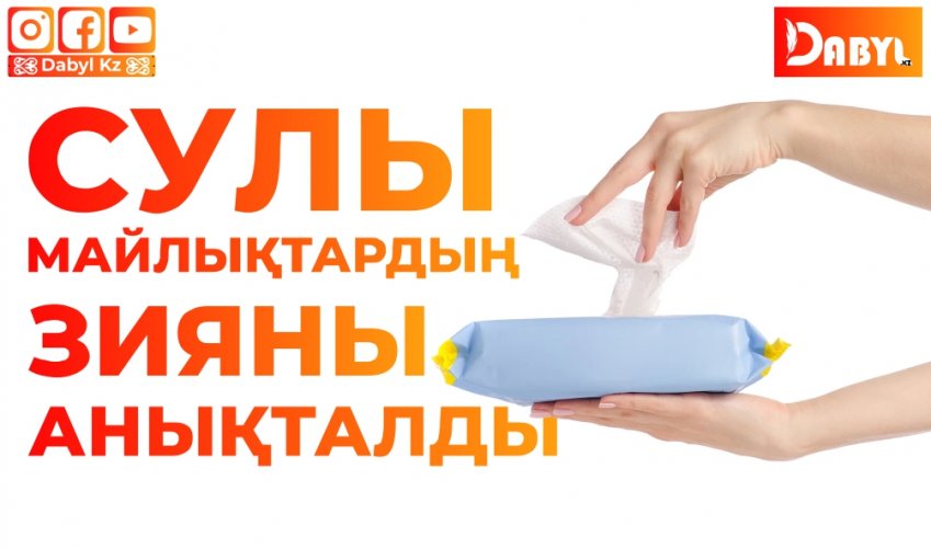 Сулы майлықтардың зияны анықталды