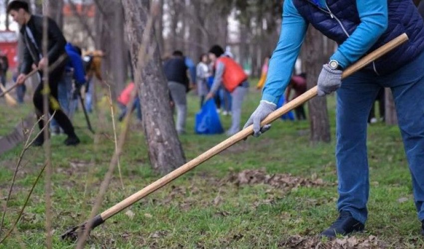 Қалалық жасыл желектерге күтім жұмыстары – тұрғындардың көңілінен шығуда