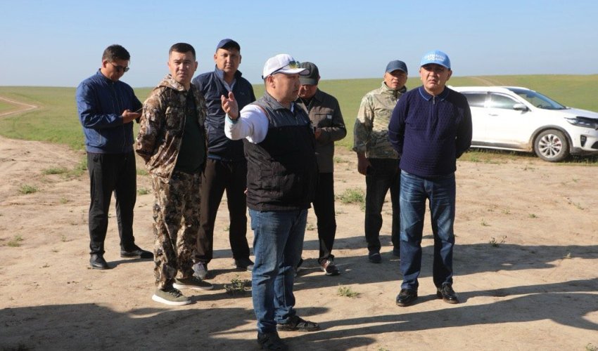 САРЫАҒАШ АУДАНЫНДА ШЕГІРТКЕГЕ ҚАРСЫ КҮРЕС ЖҰМЫСТАРЫ КҮШЕЙТІЛДІ