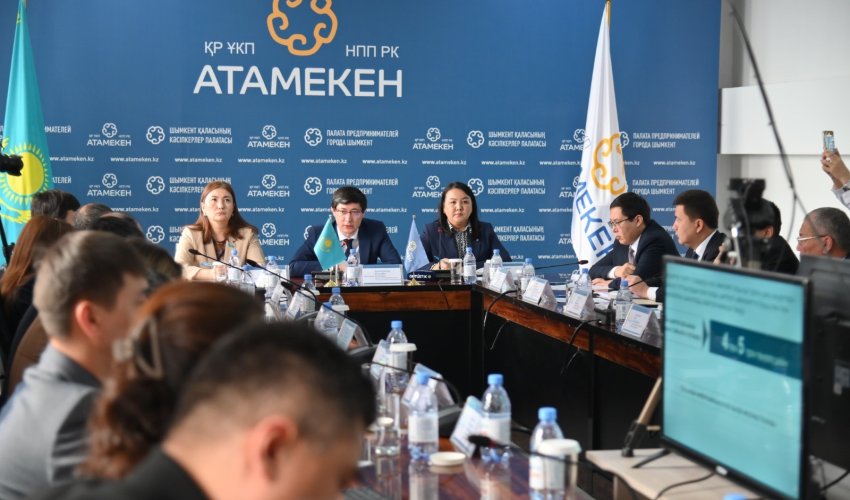 Шымкентте бизнес және экономика министрлігінің өкілдері кездесті