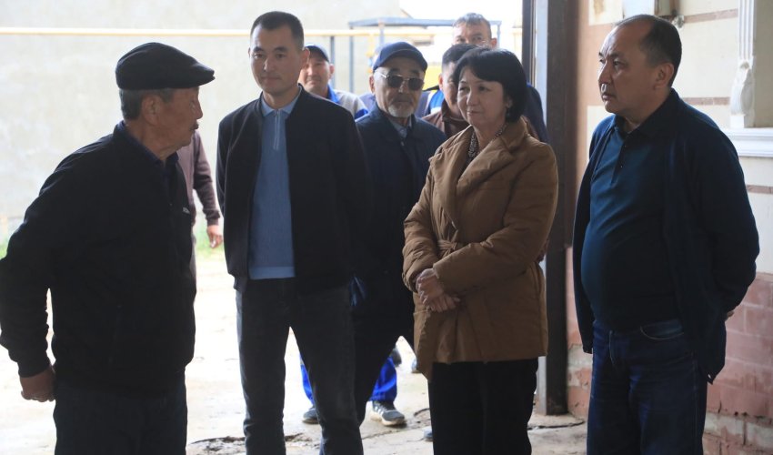 САРЫАҒАШ АУДАНЫНДА ГАЗДАНДЫРУ ЖОБАСЫ КЕЗЕҢ-КЕЗЕҢІМЕН ІСКЕ АСУДА
