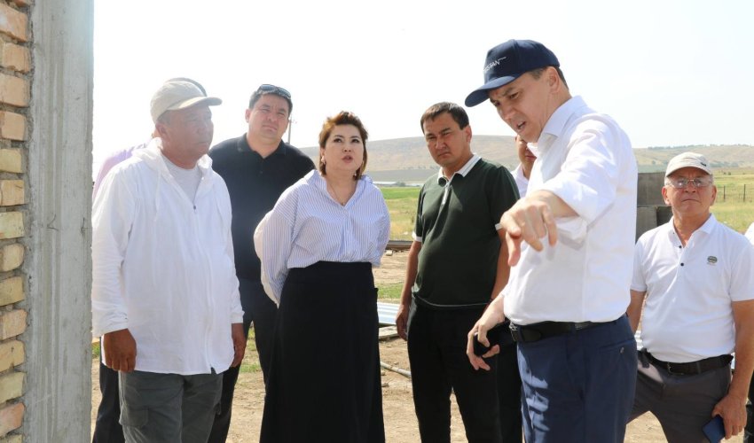 ТҮЛКІБАС АУДАНЫНДА АУЫЛДЫҚ ЖЕРЛЕРДЕГІ МЕДИЦИНАЛЫҚ ҚЫЗМЕТ САПАСЫН АРТТЫРУ ШАРАЛАРЫ