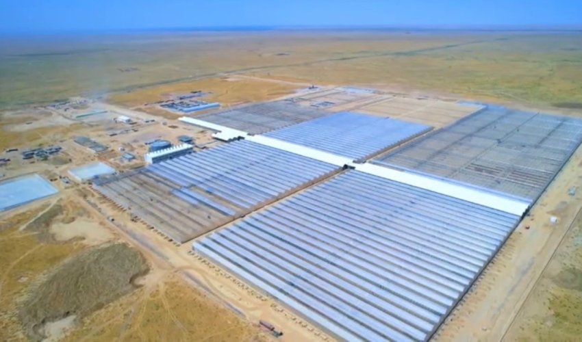 В ТУРКЕСТАНСКОЙ ОБЛАСТИ ЗАПУСТЯТ КРУПНЕЙШИЙ В СТРАНЕ ПРОМЫШЛЕННЫЙ ТЕПЛИЧНЫЙ КОМПЛЕКС