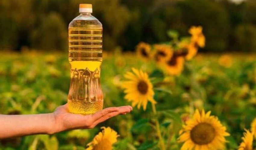КҮННІҢ НҰРЫН ӨНДІРІСКЕ АЙНАЛДЫРҒАН ЗАУЫТ САРЫАҒАШТАҒЫ ТЫҢ СЕРПІН