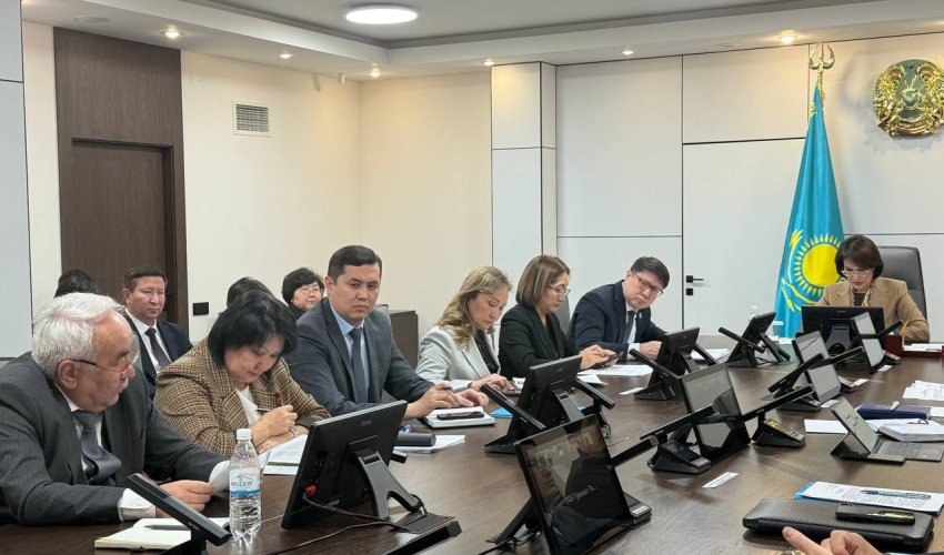 Денсаулық сақтау министрі жүкті әйелдер мен бес жасқа дейінгі балаларға медициналық көмек көрсетуді күшейтуді тапсырды