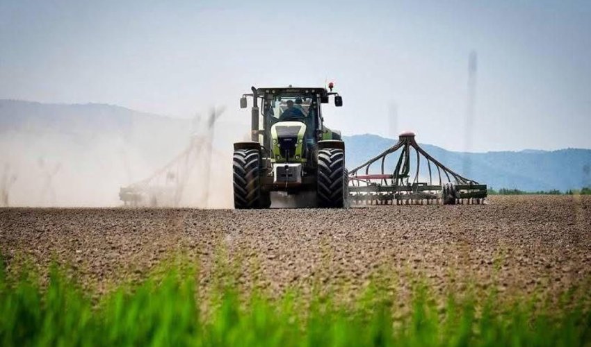 2025 жылғы көктемгі егіске 6 100-ден астам ауыл шаруашылығы өндірушісі жеңілдетілген қаржыландыру алды