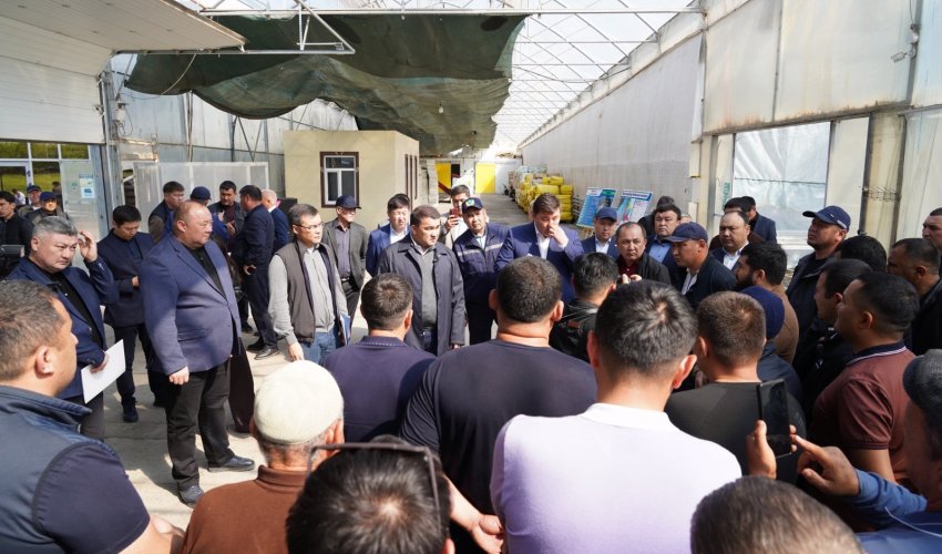 ТҮРКІСТАН ОБЛЫСЫНДА ЖЫЛЫЖАЙЛАРДЫ ЭКОЛОГИЯЛЫҚ ТИІМДІ ЖЫЛЫТУ ЖОЛДАРЫ ЕНГІЗІЛУДЕ