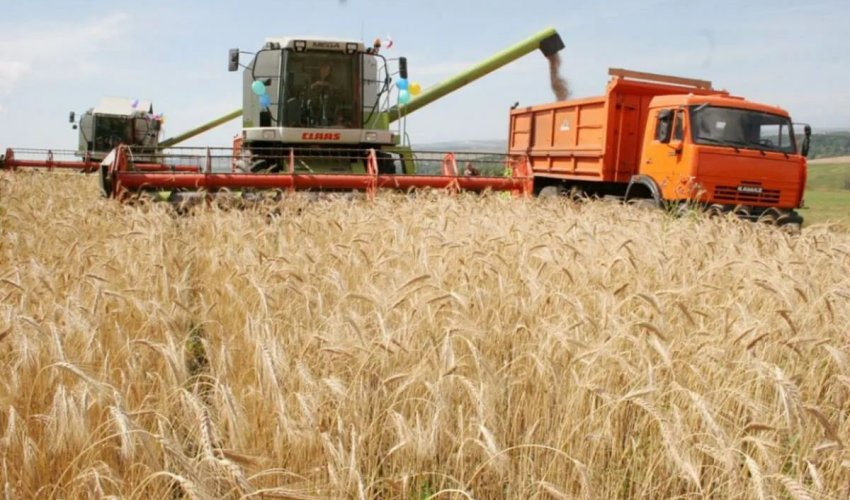 Ауыл шаруашылығының жалпы өнім көлемі 3,4%-ға өсіп, 3,6 трлн теңгеге жетті