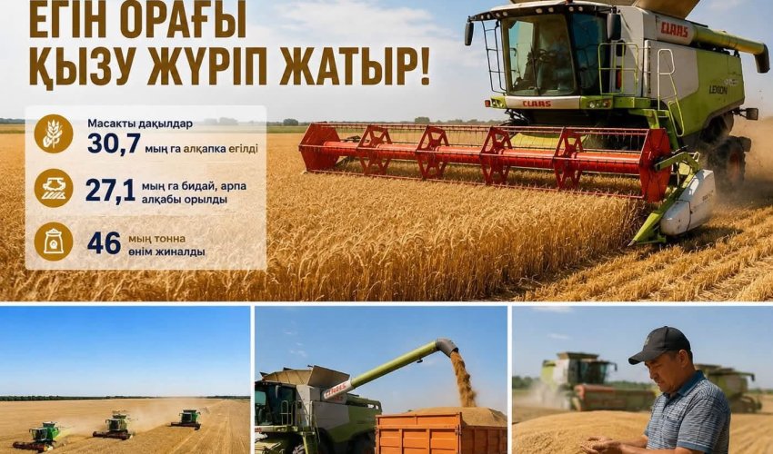 ОРДАБАСЫДА АСТЫҚ ОРАҒЫ ҚАРҚЫН АЛДЫ