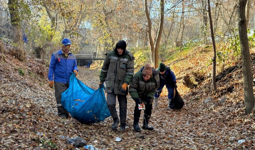 «ТАЗА ҚАЗАҚСТАН» БАҒДАРЛАМАСЫ: ШЫМКЕНТТЕ ТАБИҒАТ ЖАНАШЫРЛАРЫНЫҢ ҚАТАРЫ КӨБЕЙІП КЕЛЕДІ