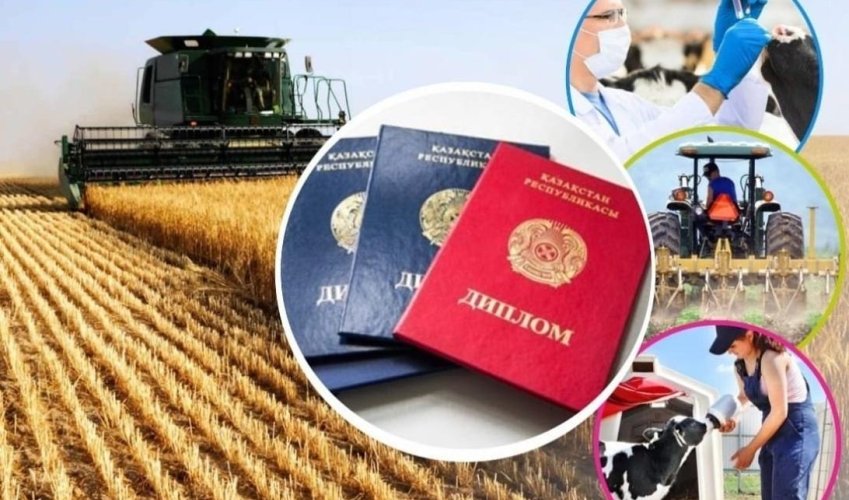 "Дипломмен ауылға" бағдарламасы 2025 жылы 2,8 мың жас маманды тұрғын үймен қамтамасыз етеді
