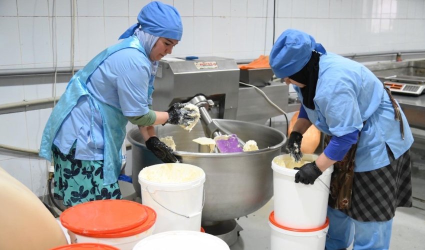 ЖЕРГІЛІКТІ ӨНДІРІС – ҰЛТТЫҚ ЭКОНОМИКАНЫҢ ТІРЕГІ