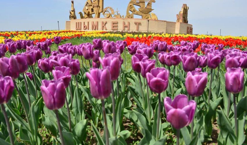 ЖАСЫЛ АЙМАҚТАРДЫ КЕҢЕЙТУ ЖҰМЫСТАРЫНА ТҰРҒЫНДАР ОҢ БАҒАСЫН БЕРУДЕ