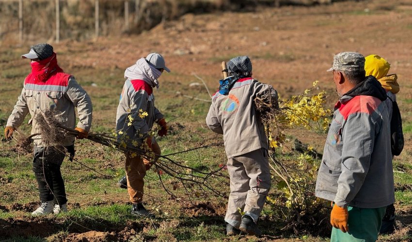 ТҰРАН АУДАНЫНДА ЭКОЛОГИЯЛЫҚ СЕНБІЛІК ҰЙЫМДАСТЫРЫЛДЫ