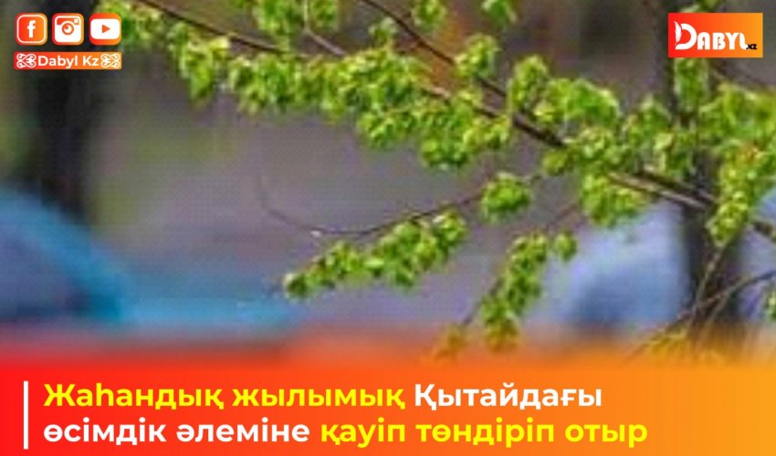 Жаһандық жылымық Қытайдағы өсімдік әлеміне қауіп төндіріп отыр