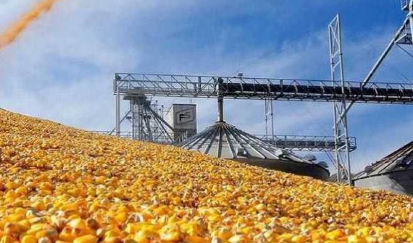 ТҮРКІСТАН ОБЛЫСЫНДА ЖҮГЕРІНІ ТЕРЕҢ ӨҢДЕЙТІН ІРІ ӨНДІРІС ІСКЕ ҚОСЫЛУДА