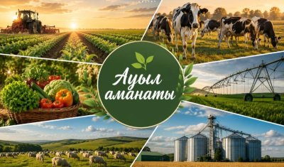 Түркістан облысында 3 жылда «Ауыл аманаты» жобасы арқылы 5 мыңға жуық жұмыс орны құрылды
