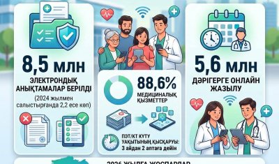 8,5 млн электрондық анықтама: цифрландыру медициналық қызмет алуды жеңілдетіп отыр