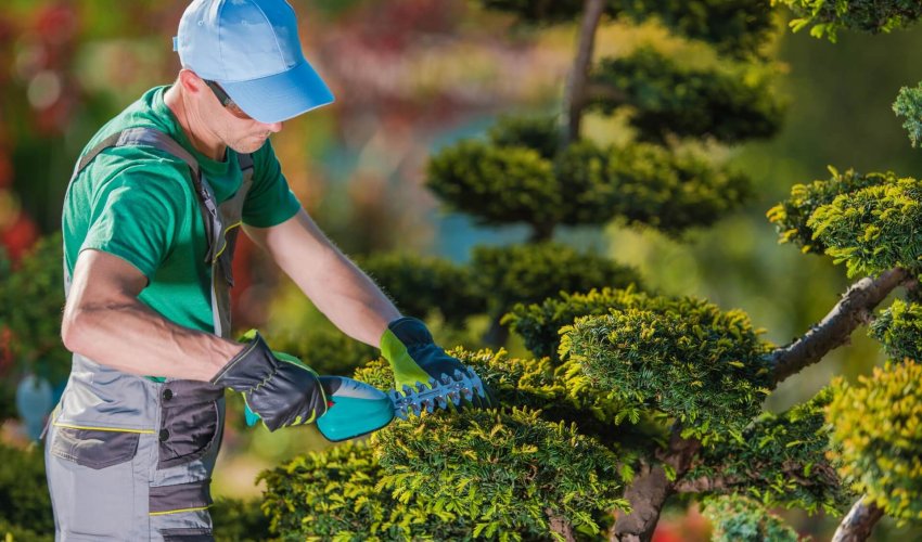 БЛАГОУСТРОЙСТВО И СОЗДАНИЕ КОМФОРТНОЙ СРЕДЫ В РАЙОНЕ ТУРАН